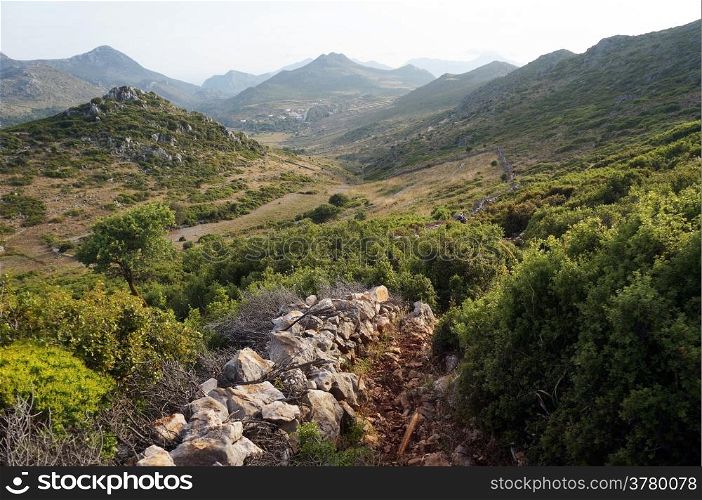 Footpath near stone wall and prickly bush in Turkey