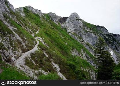 Footpath on the slope of Crna Prst in Slovenian Alps