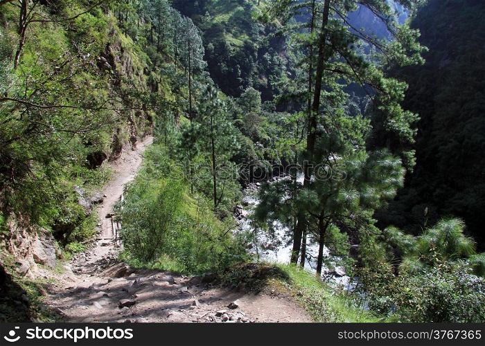 Footpath to Manaslu in the forest, Nepal