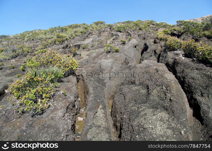 Footpath to the top of volcano Kerinci in Indonesia