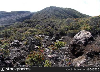 Footpath to the top of volcano Kerinci in Ondonesia