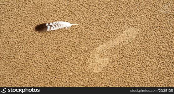 Footprint and Seagull Quill on the Sand in the Beach