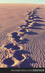 Footprint. Footprints on the sand