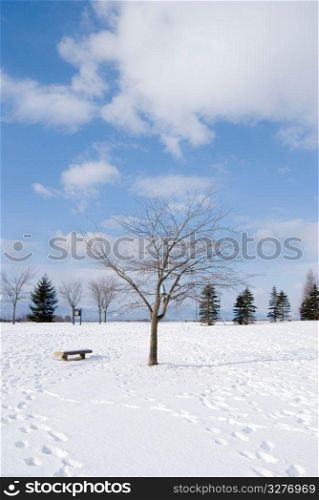 Footprint in the snow, bald tree and vacant chair, Hokkaido, north of Honshu, Japan, northeast Asia
