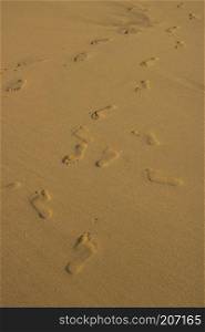 footprint on beach sand photo. footprint on beach sand