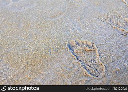 Footprint on sand beach at the sea with background.