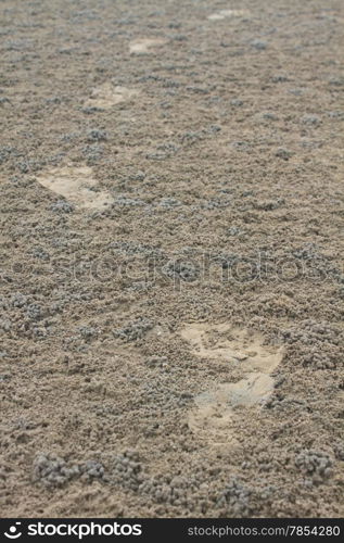 Footprint on sand with waves in summer