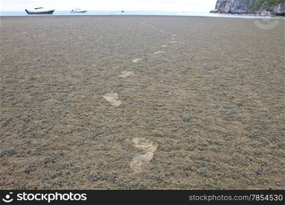 Footprint on sand with waves in summer