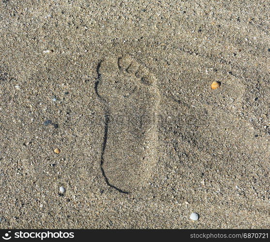 Footprint on the sand