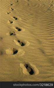 Footprints In Beach