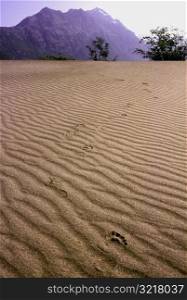 Footprints in Dunes along Copper River