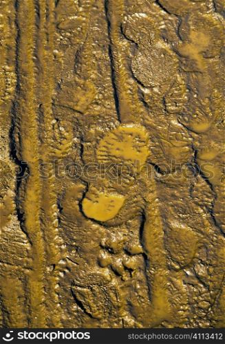 footprints in mud