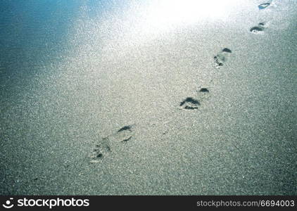 Footprints in Sand