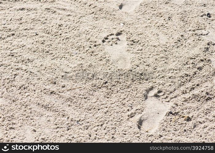 Footprints in sand. Footprints in sand on a sunny day