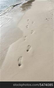 Footprints in sand on beach; Koh Pha Ngan; Thailand