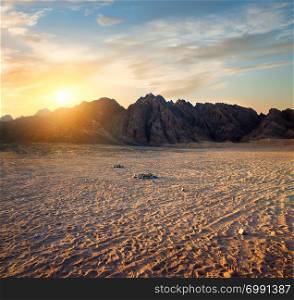 Footprints in sandy Egyptian desert at sunny sunset