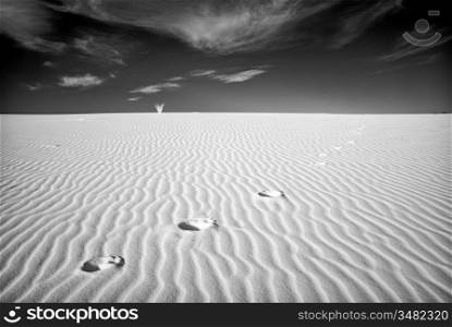 Footprints In The Desert
