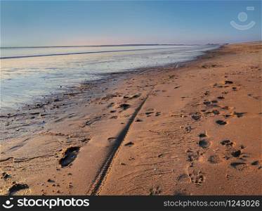 footprints in the sand of a beach at dusk