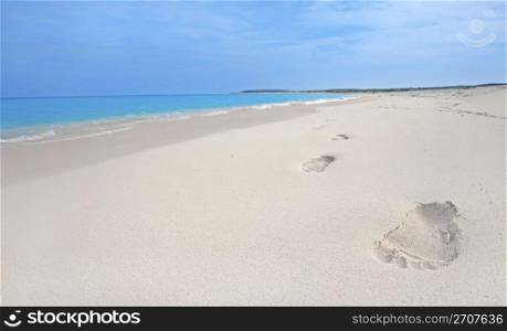 Footprints in the sand on Boca Grandi beach, Aruba