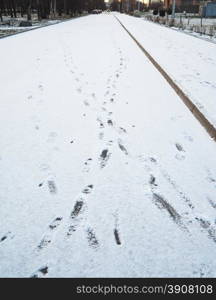 footprints in the snow