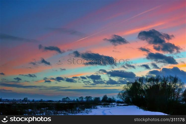 Footprints in the snow and silhouettes of trees against the background of a dramatic cloudy sky with pink wide strips at sunset . Selective focus.. Winter Landscape With Pink Clouds At Sunset