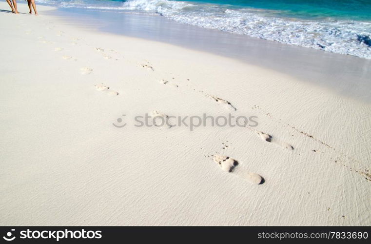 Footprints in wet sand of beach