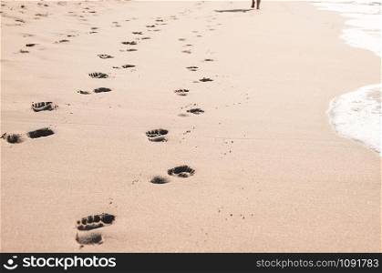 Footprints in wet sand on Margate ocean beach, South Africa. Blurred barefoot legs in the background in the distance. Vacation or holiday concept.