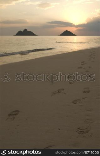 Footprints on a beach