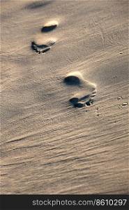 footprints on a sandy beach in the summer