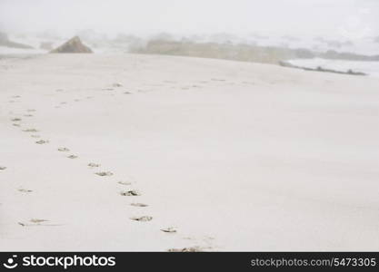 Footprints on sand at beach