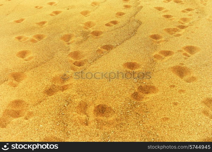 Footprints on sand at the beach
