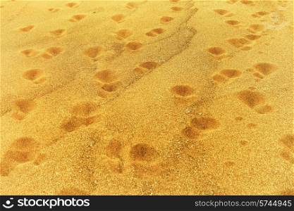Footprints on sand at the beach