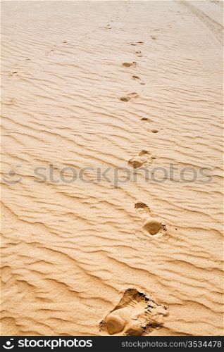 footprints on sand dune in Wadi Rum dessert, Jordan