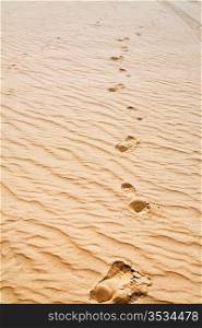 footprints on sand dune in Wadi Rum dessert, Jordan