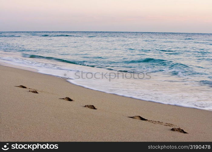 Footprints on the beach