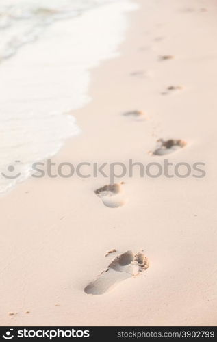 Footprints on the beach. Footsteps of people walking on the beach by the sea.
