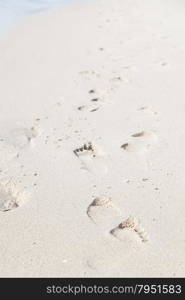 Footprints on the beach. Footsteps of people walking on the beach by the sea.