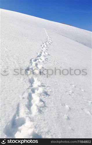 footsprint on the hill covered with snow under blue sky