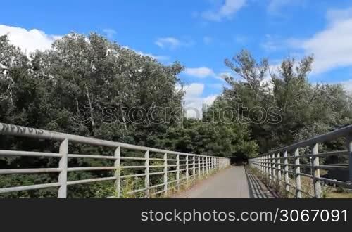 footstep bridge