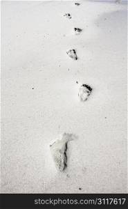 Footsteps in the sand at Kommetjie Beach in Cape Town, South Africa