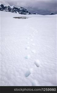 Footsteps through deep snow lead through wide plains of ice to mountains in Antarctica