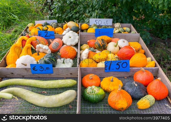For sale colorful fruits gourds and pumpkins with price tags outside