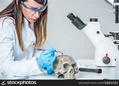Forensic scientist examining human skull
