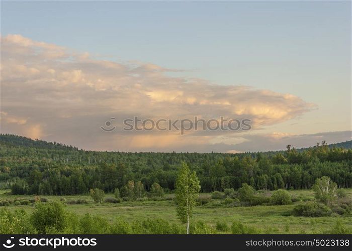 Forest and field with clouds of illuminated sun at dawn. Forest and field with clouds of illuminated sun at dawn.