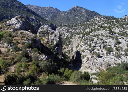 Forest and high mountain in Turkey