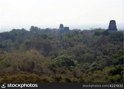 Forest and high pyramids in Tikal, Guatemala