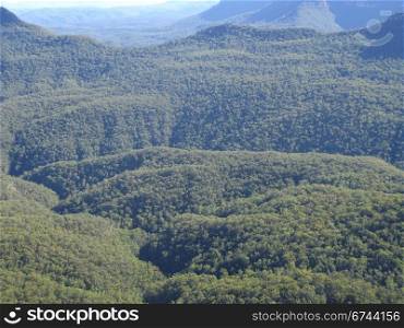 forest and hills in australia. forest in the blue mountains national park in new south wales, australia
