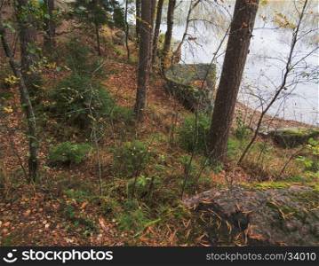 Forest and Lake in late autumn. Nature background with coastal reed and shining lake water