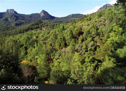 Forest and mount near Goynuk, Turkey
