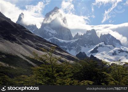 Forest and mountain in national park near Chalten in Argentina